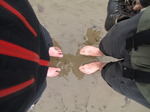 SX13140 Cold feet in wet sand.jpg